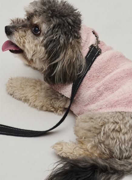 スペースダイ ペット セーター コージーシック