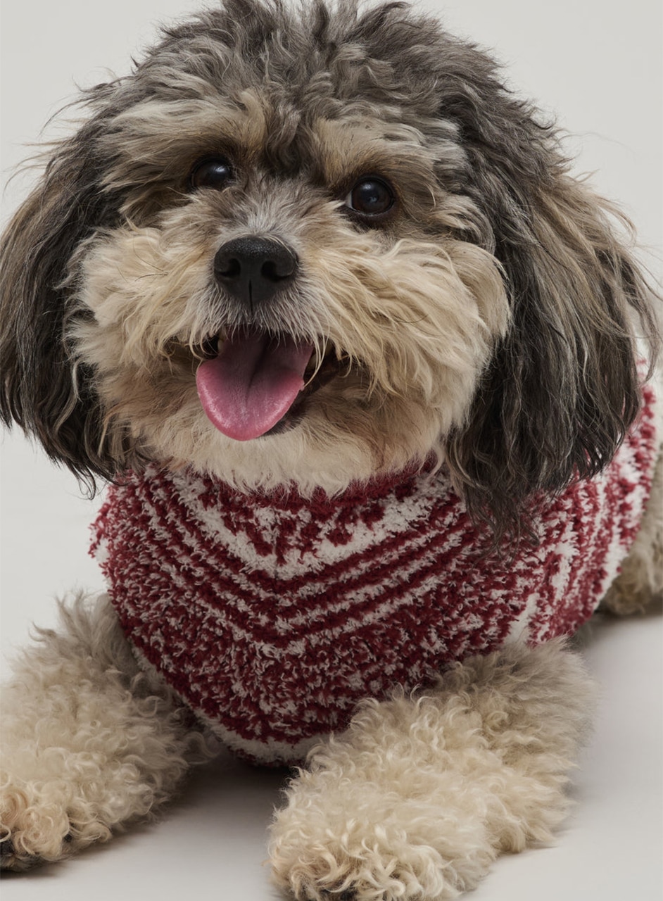 チェッカード ストライプ ペット セーター コージーシック
