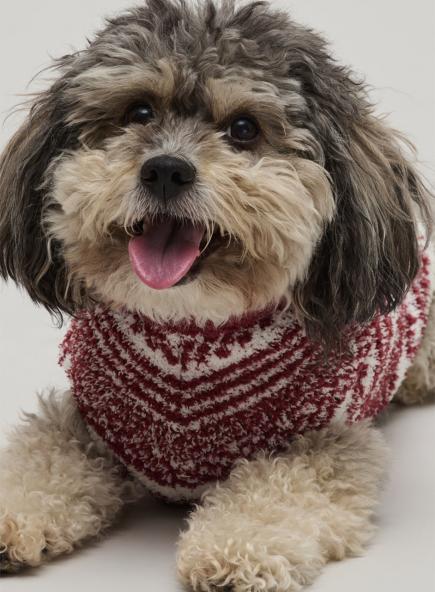 チェッカード ストライプ ペット セーター コージーシック