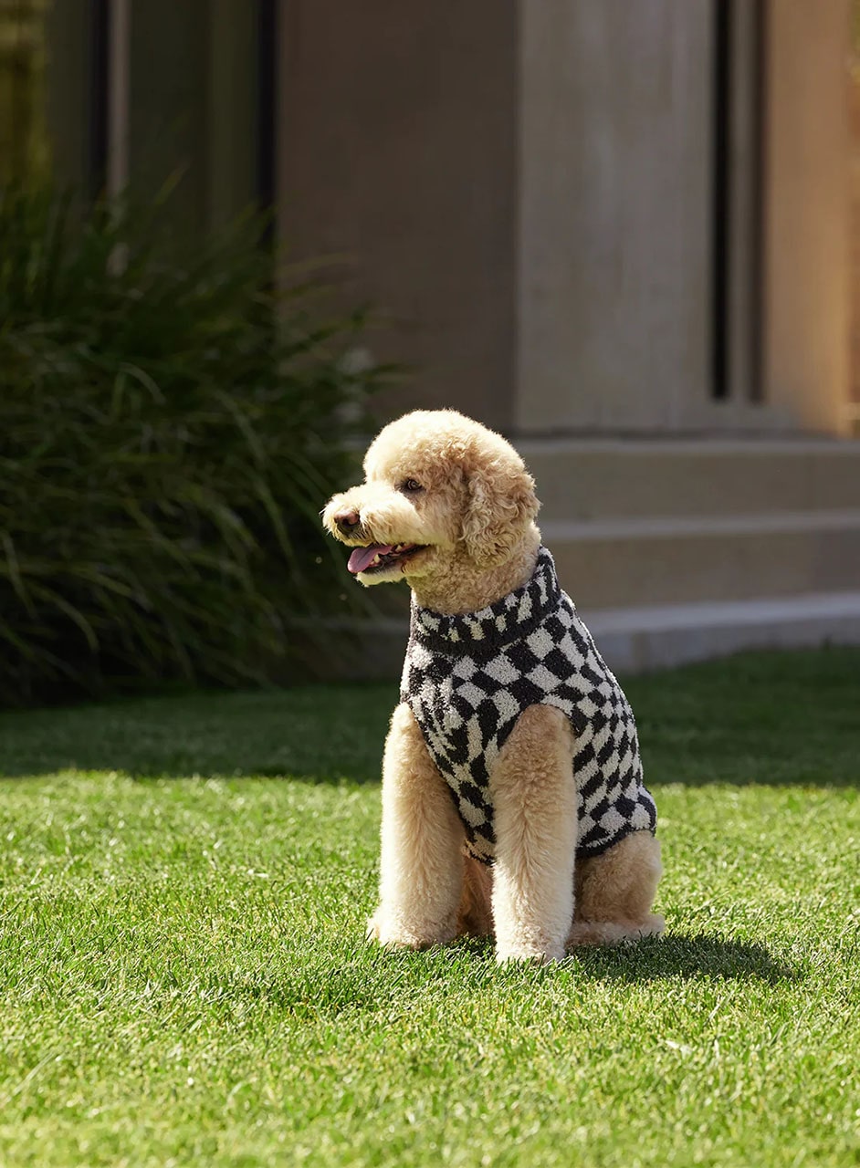 チェッカー ペットセーター コージーシック
